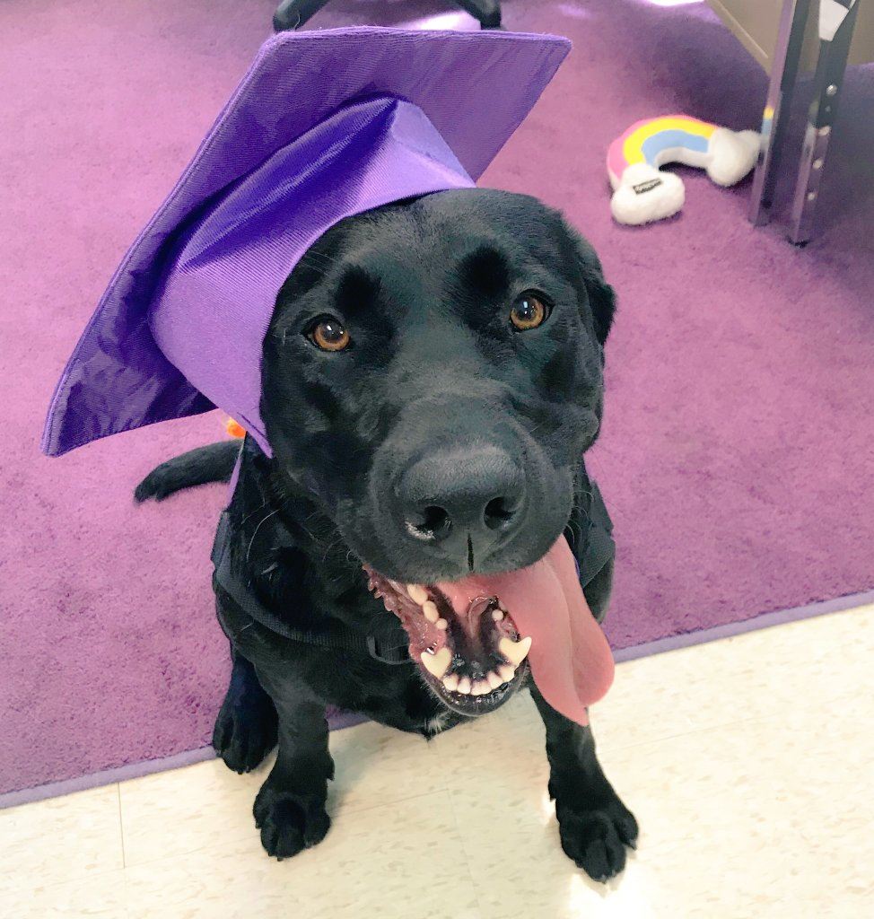 Rory graduating